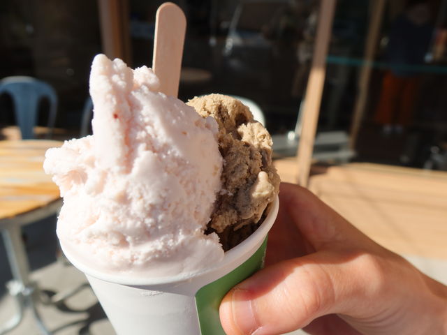 ~Nƃ}_GELATERIA NEVE