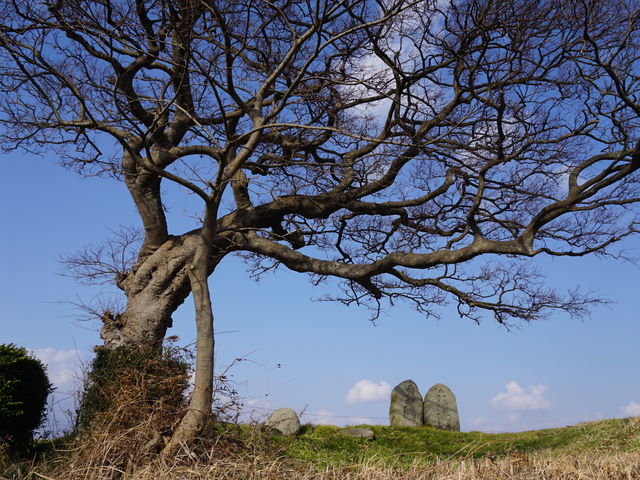 ��Ȃ��n���E�E�E�n������Ȃ�_SADO�O�l�Y�K�C�h