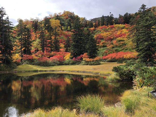 �ꌩ��_��ፂ�����Q