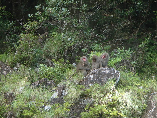 ���N�U�����������񂢂܂����I_aquastyle