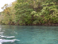 q񂳂PADDLE STREETւ̓eʐ^1