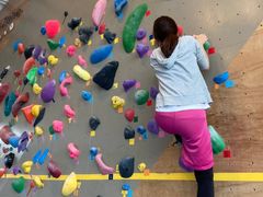 򂳂mio camino AMAKUSA(~IEJ~[mV)ւ̓eʐ^1