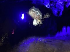 hatori̖Xւ̓eʐ^1