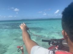 䂢܁[邳NEWSߔeXւ̓eʐ^1