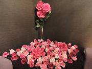 ͒jNgcolon W[R L̓eʐ^2