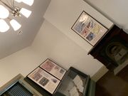 �X�^�[����̓��R��\��Ԋق̓��e�ʐ^1