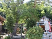 �͒j�N����̕񉶎��̓��e�ʐ^3