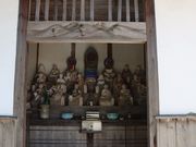 �͒j�N����̕񉶎��̓��e�ʐ^4