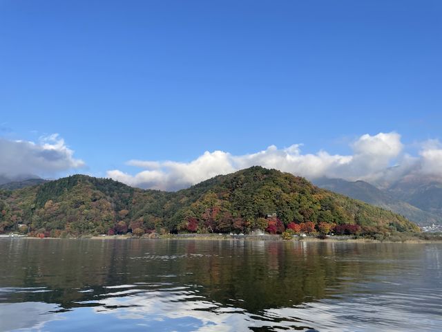 ��i�ł����B
�ō��̍g�t��肪�o���܂����B_�x�m���V��