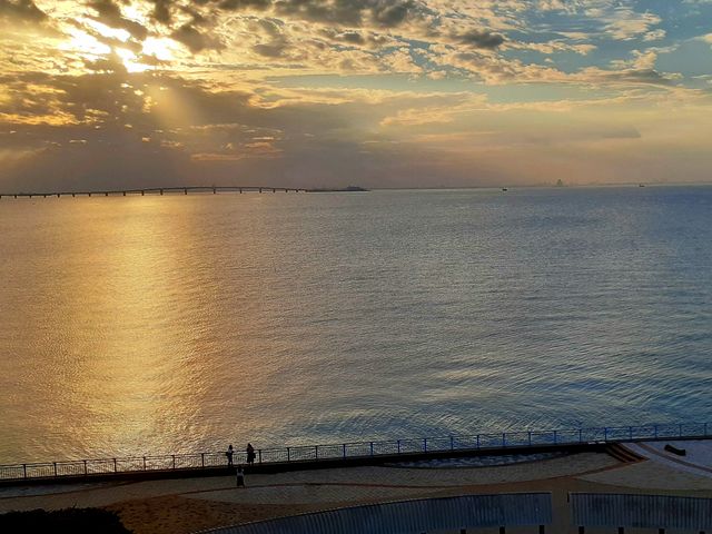 �����p�̌i�F_���P�Y�C�l����