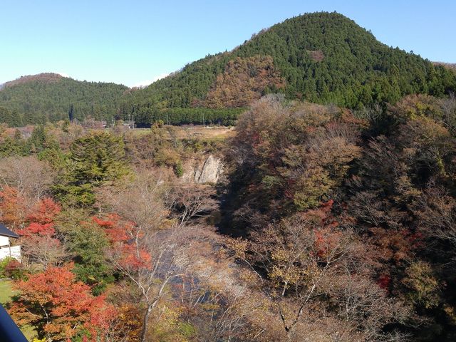 �����̑�����ς��g�t�ɐ��܂����H�ې�̌k�J�̌i�F_���H�ۉ���@�z�e�����搅