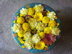 jR񂳂̈bώRւ̓eʐ^1