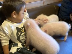 pignic farm&cafe̎ʐ^1