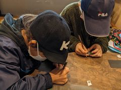 �肳����̃M�������[�C���}���ւ̓��e�ʐ^1