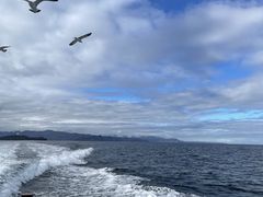 䂤̏M̓AN[Yւ̓eʐ^1