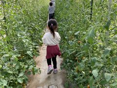 ܂邳FARM@KEIւ̓eʐ^1