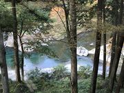 harusuVT񂴂pق̓eʐ^4