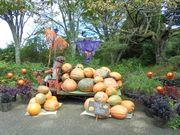 ��������񂳂�̃K�[�f���~���[�W�A����b�̓��e�ʐ^12