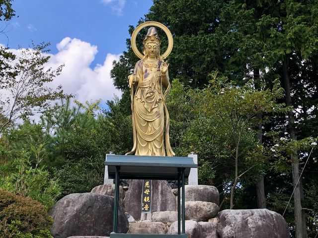 ����ω���_��t�R