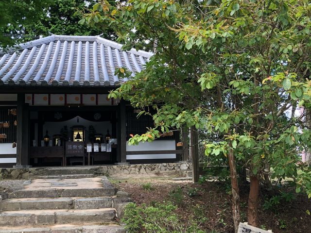 ���򎛉��̉@_��t�R