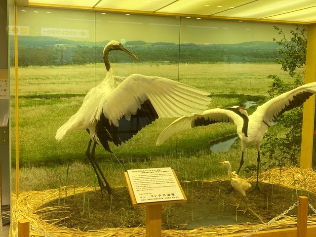 ē_Hsόēi񂿂傤H`j