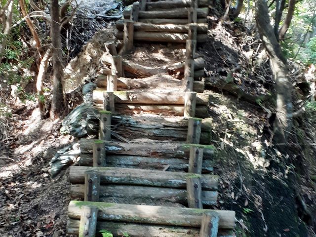 낼듻sւ́A}Ń^tȓ܂B_CR