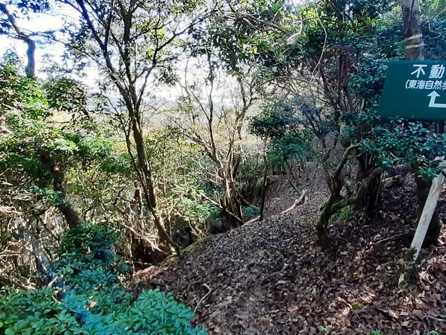 낼듻siTRsjւ̕|Cg_CR