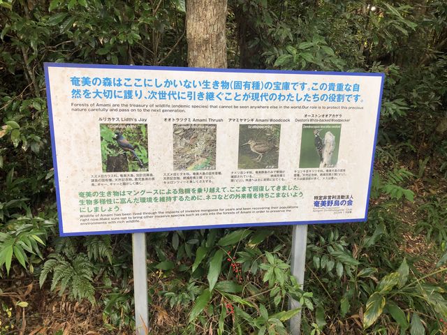 �K�C�h����H���A�������̒��͓������Ă����悤�ł����A�����ɂ͕���������ꂸ�B�B�B_�����g���b�N