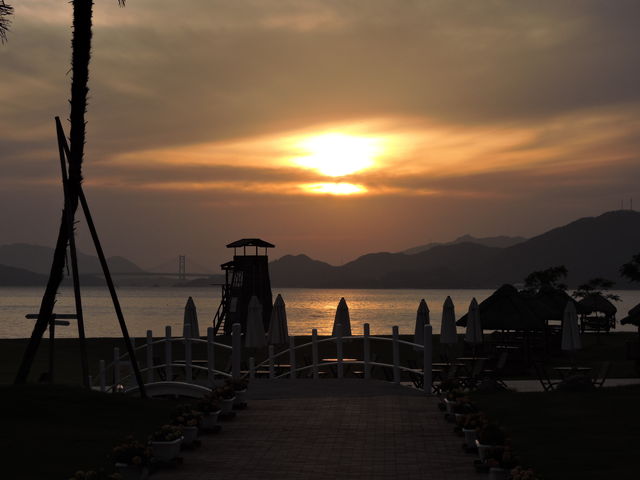 ���R�s�@�V�[�p�[�N��l_�V�[�p�[�N��l