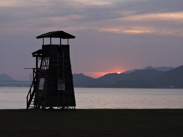 ���R�s�@�V�[�p�[�N��l_�V�[�p�[�N��l