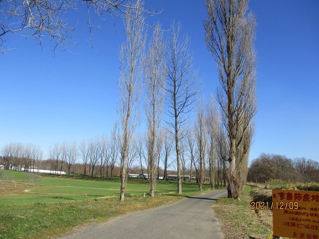 NbL[̎ˌ̃|v؂̓eʐ^1