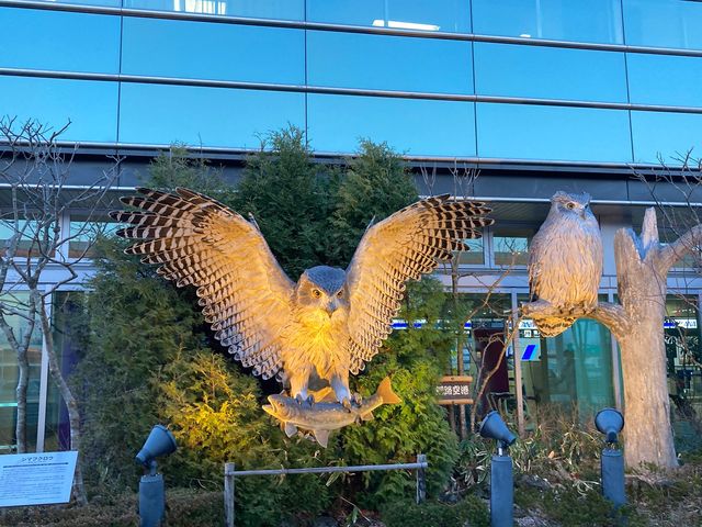 ē_Hsόēi񂿂傤H`j