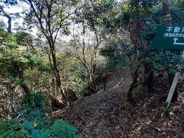 ���낼�듻���瓌�i�s����E�T�R���ʁj��]�ށB_���C���R����