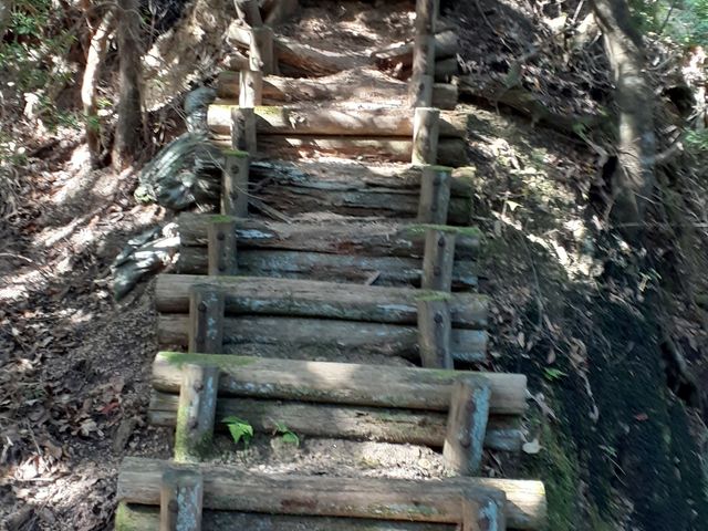 �s���ꂩ��A���낼�듻�܂ł͋}���z�̍⓹�������܂��B_���C���R����