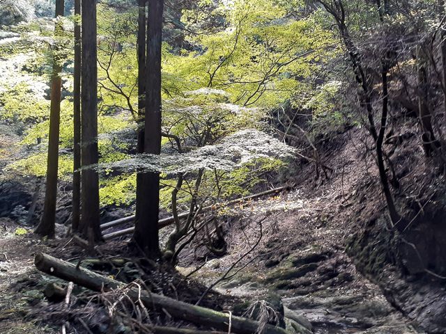 �������������肵�Ă��ĕ����₷���ꏊ_���C���R����