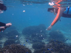 gNature Guide Double Rainbow lC`[KCh@_uC{[ւ̓eʐ^1