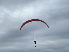 Ȃ񂳂̋ƂpOC_[XN[ւ̓eʐ^1