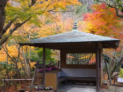 jR񂳂̈bώRւ̓eʐ^1