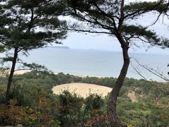 񂳂̑K`Guiʕvւ̓eʐ^1