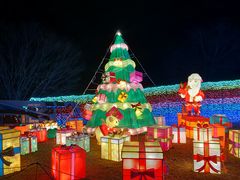 東京ドイツ村の写真一覧 じゃらんnet