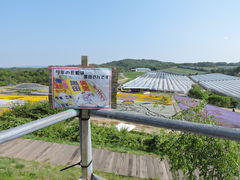 �������̉Ԃ̉w����ւ̓��e�ʐ^1