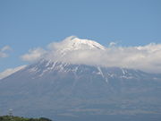 ̕xmT[rXGAij̓eʐ^2