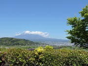 ̕xmT[rXGAij̓eʐ^3