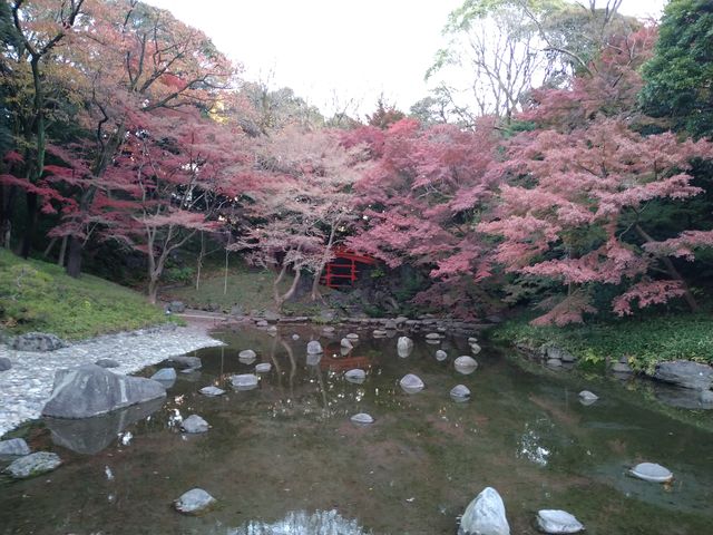 ؁XɉBĂ܂A^񒆂̉ʓVł_ʓViΐyj