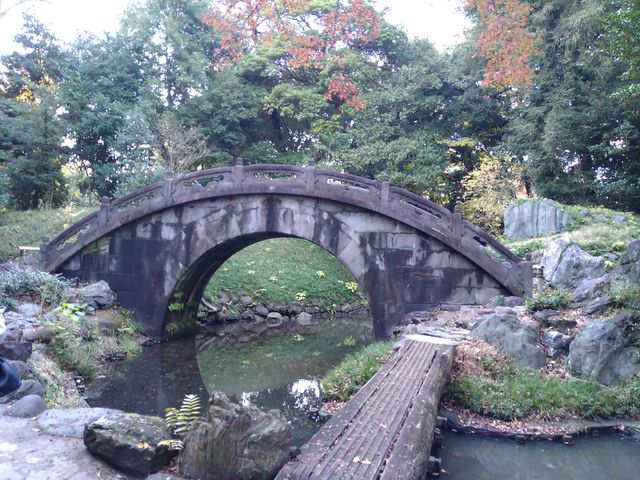 ~BʂɉfƐ^񒆂ۂ̂悤Ɍ܂_~ (ΐy)