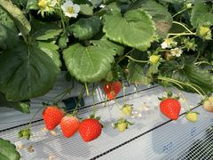 肳̂_sAbc@ւ̓eʐ^1