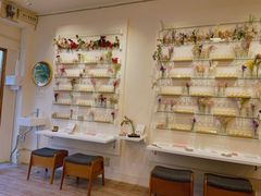 ҂񂳂itoaware-Ƃ͂-_˓Xւ̓eʐ^1