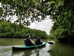 m218OHCUSΊ_ւ̓eʐ^1