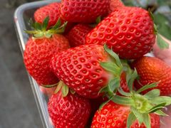 ΁[΂̂䂤t@[ւ̓eʐ^1