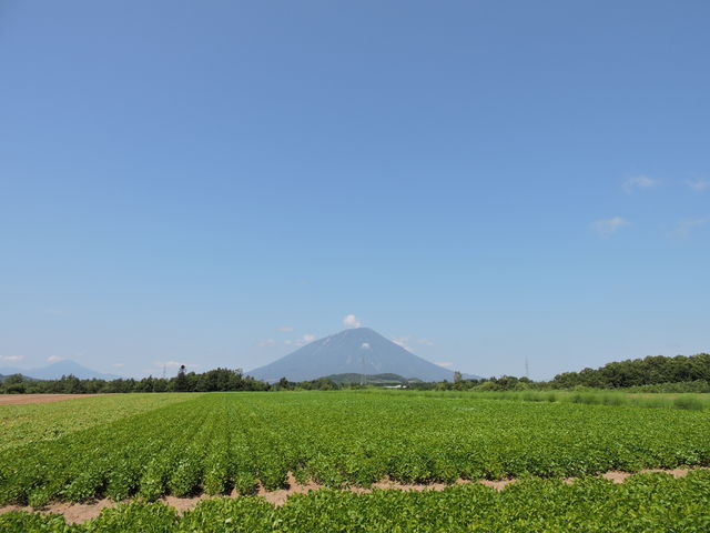 ��m�����@�r���R_�r���R